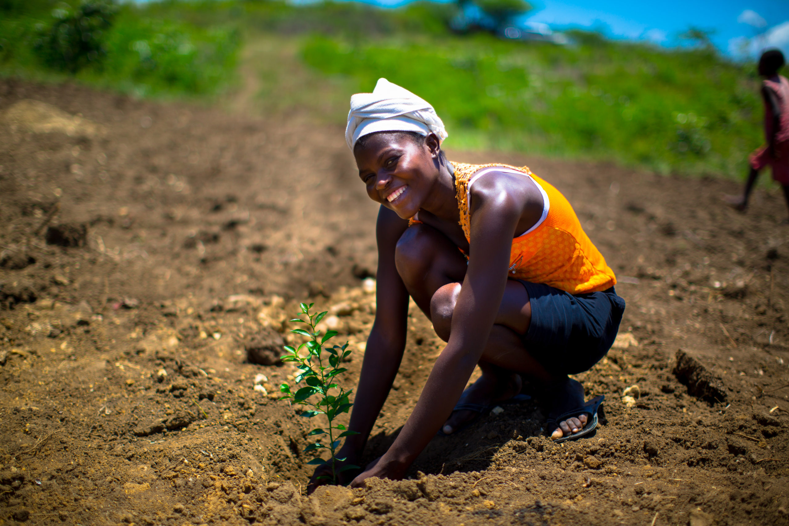 beautiful woman smiling planting tree